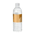 Gold Water Bottle